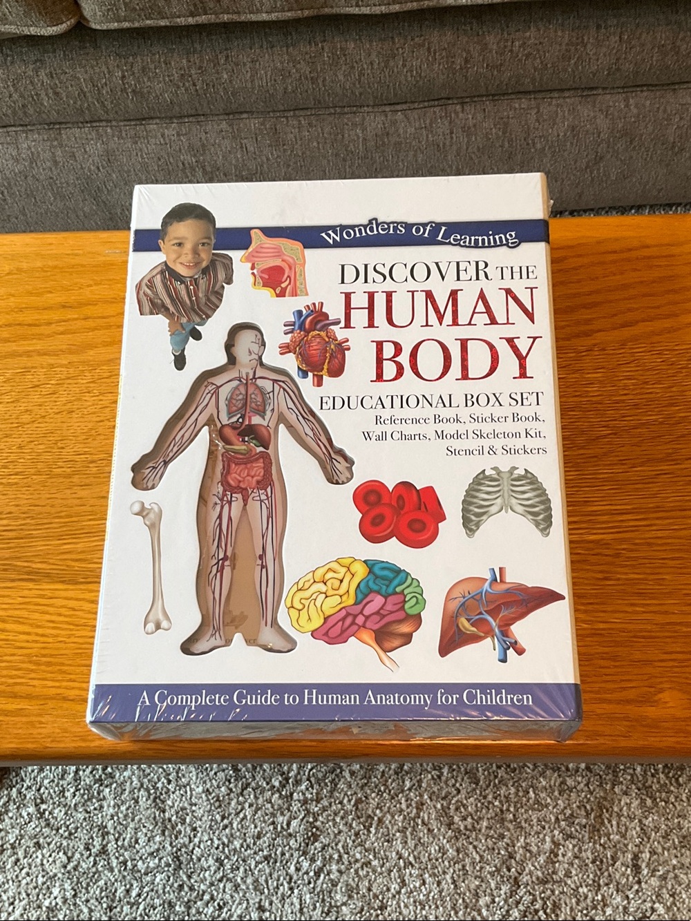 NIB Discover the Human Body Educational Box Set